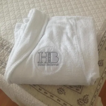 Hotel Bellevue