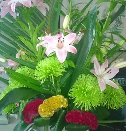 Hotel Bellevue Châtel-Guyon